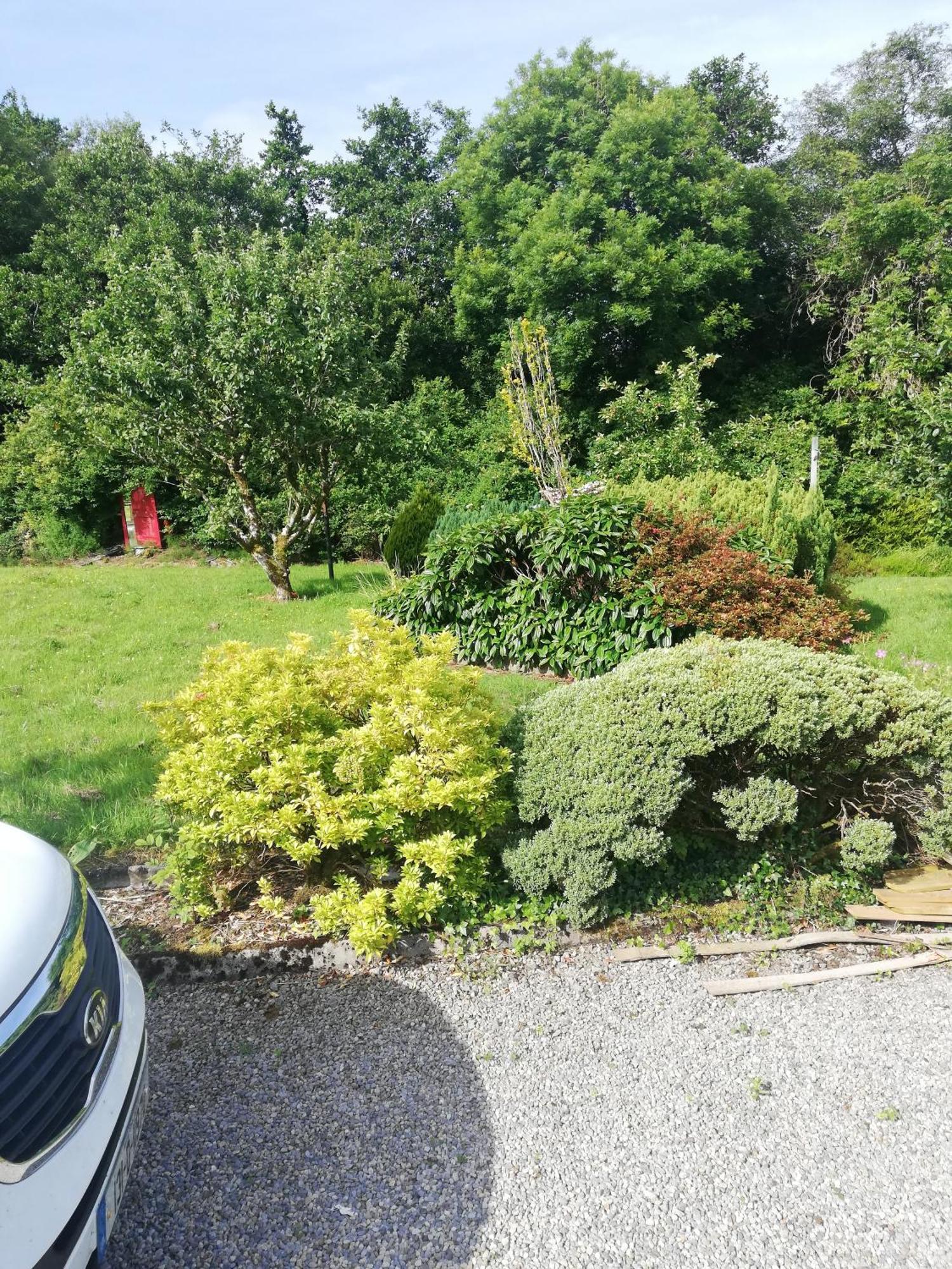 Apartament Lakeview House Galway Zewnętrze zdjęcie